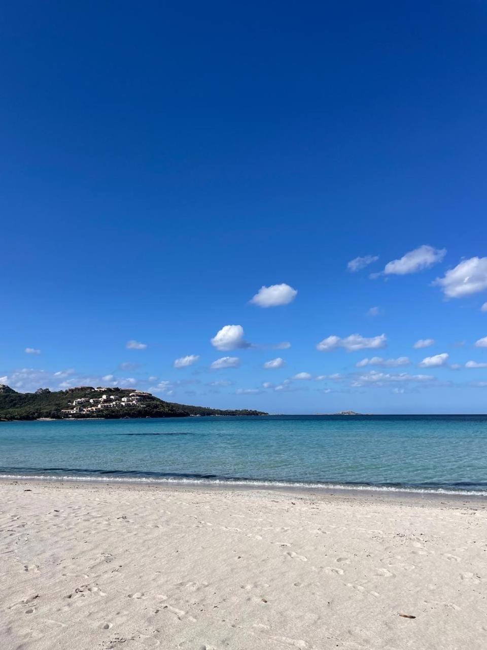 Wiki's Place Porto Rotondo