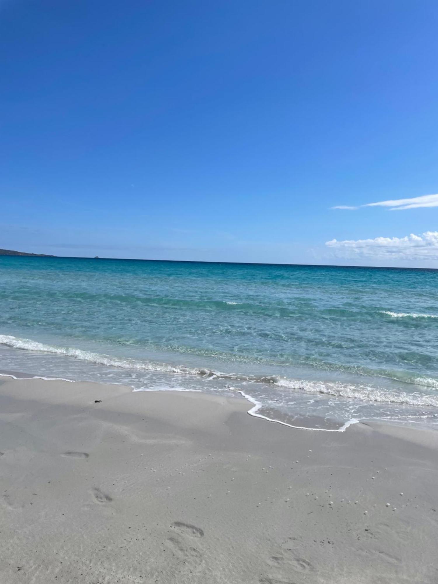 Apartment Wiki's Place Porto Rotondo
