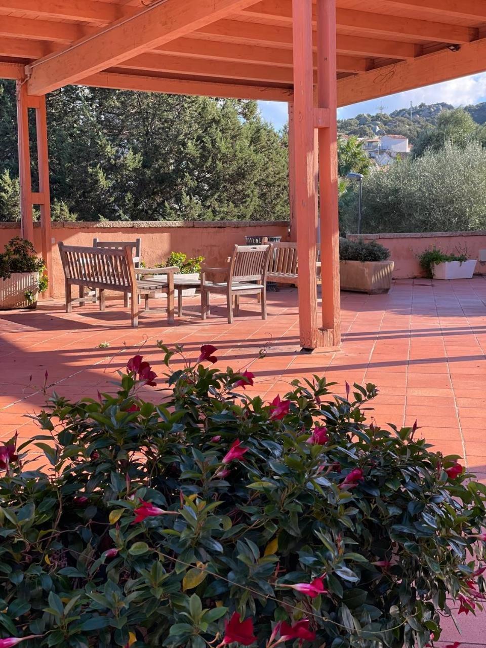 Wiki's Place Porto Rotondo